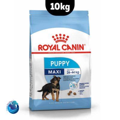 غذا خشک سگ مکسی پاپی رویال کنین 10 کیلویی – maxi puppy royal canin 10kg