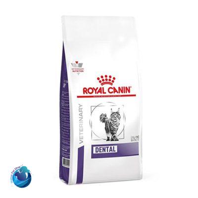 غذاخشک گربه رویال دنتال وزن 3 کیلوگرم – royal canin cat dental