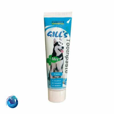 خمیر دندان نعنایی سگ جیلز Gills Mint Toothpaste وزن 100 گرم