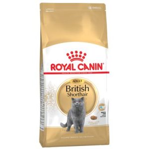 غذا خشک گربه بالغ بیریتیش 2k royal canin british